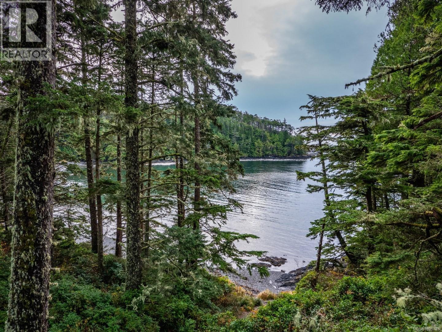 330 Reef Point Rd, Ucluelet, British Columbia  V0R 3A0 - Photo 7 - 1025783