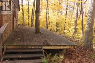 1165 Spring Lake Road, Bracebridge, Ontario  P1L 1X1 - Photo 25 - X12882212