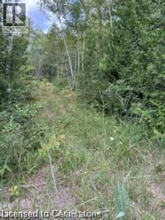 Pt Lot 7 West Ipperwash Road, Lambton Shores, Ontario  N0N 1J0 - Photo 10 - 40812307