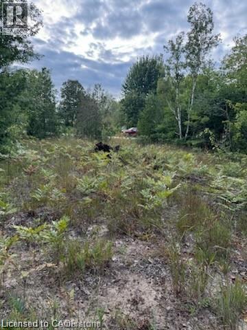 Pt Lot 7 West Ipperwash Road, Lambton Shores, Ontario  N0N 1J0 - Photo 13 - 40812307