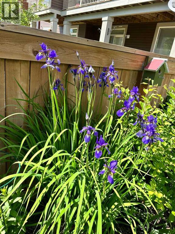 83 Fireside Crescent N, Cochrane, Alberta  T4C 2L5 - Photo 48 - A2288542