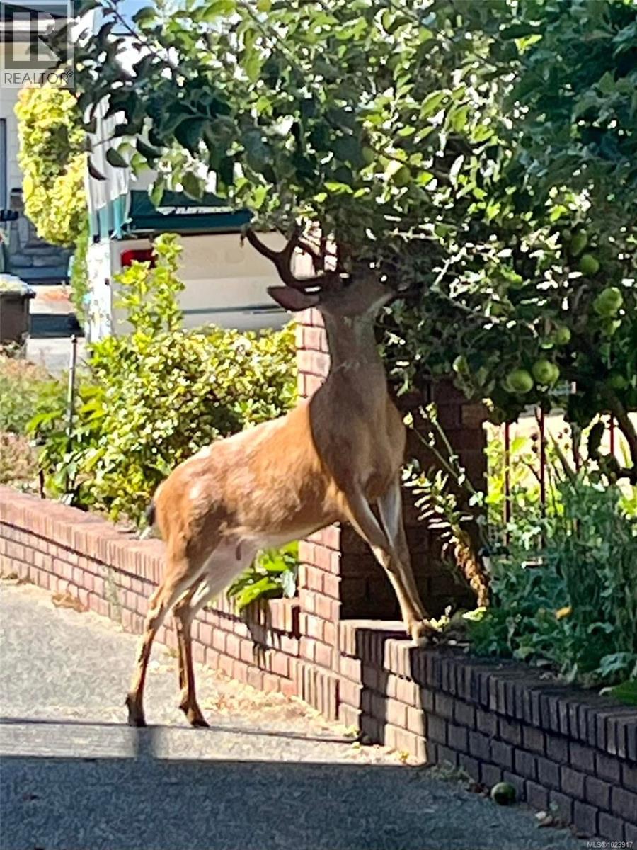 511 Panorama Pl, Parksville, British Columbia V9P 1A4 - Photo 68 - 1023917