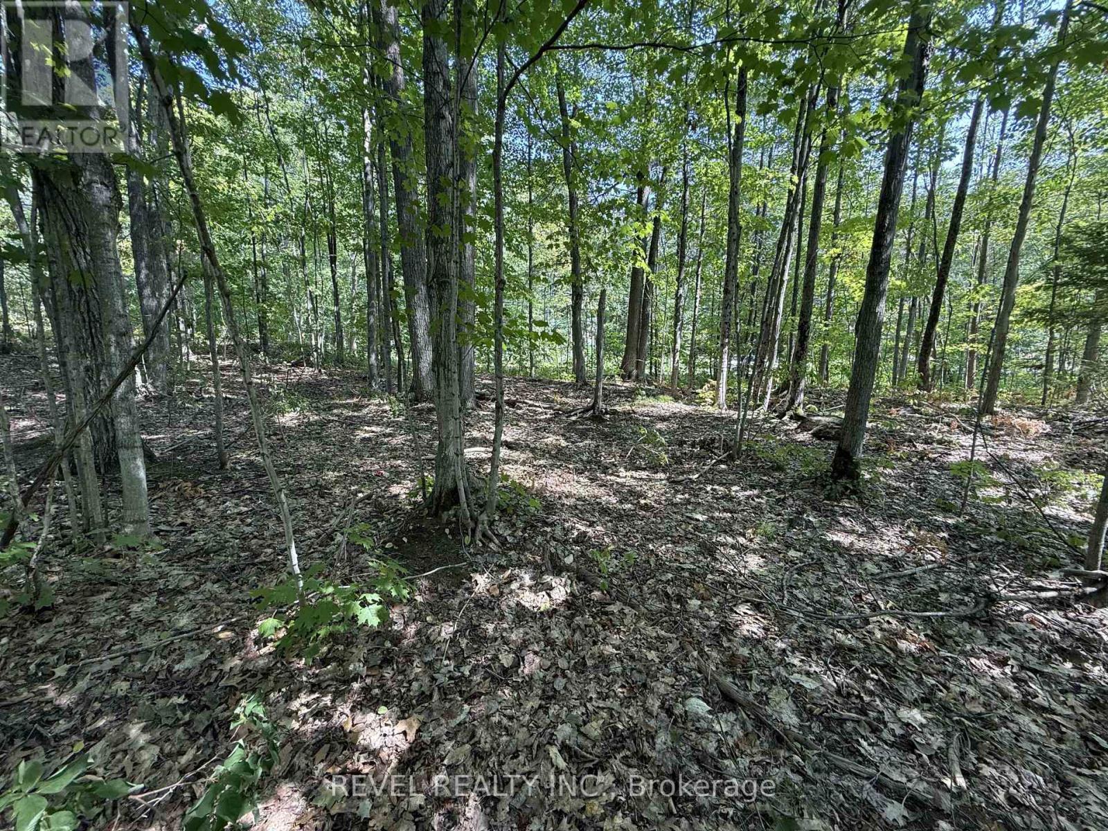 7815 Riverleigh Drive, Ramara, Ontario  L0K 2B0 - Photo 11 - S12884158