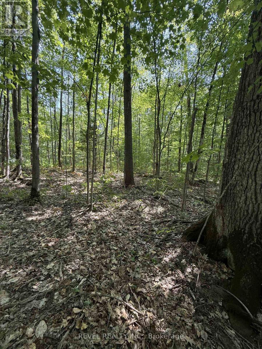 7815 Riverleigh Drive, Ramara, Ontario  L0K 2B0 - Photo 12 - S12884158