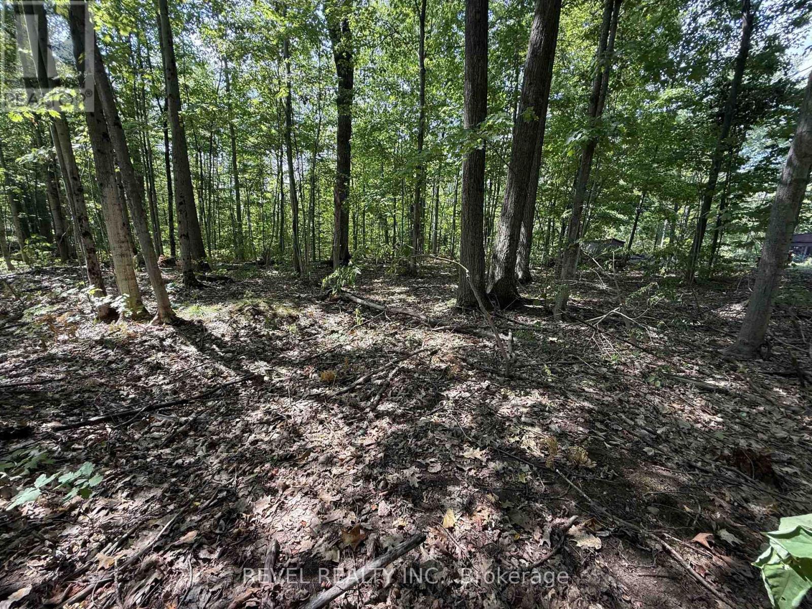 7815 Riverleigh Drive, Ramara, Ontario  L0K 2B0 - Photo 13 - S12884158