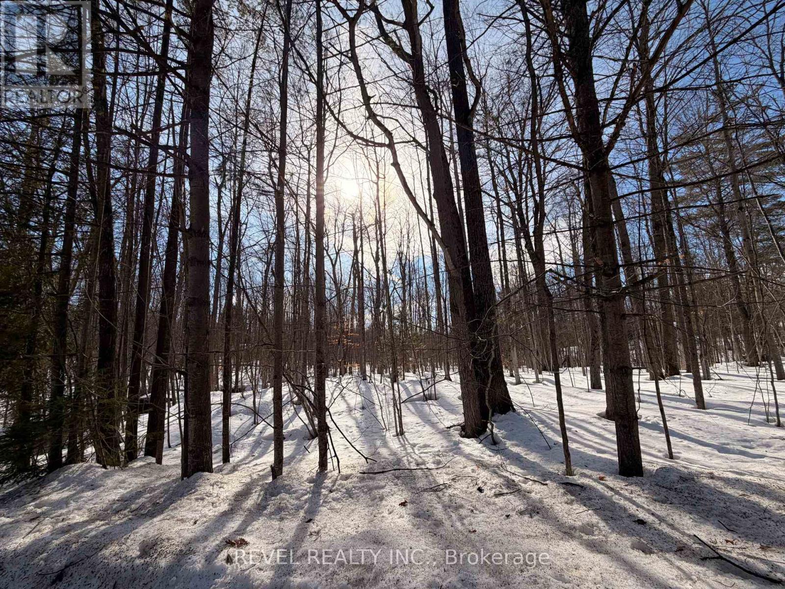 7815 Riverleigh Drive, Ramara, Ontario  L0K 2B0 - Photo 16 - S12884158