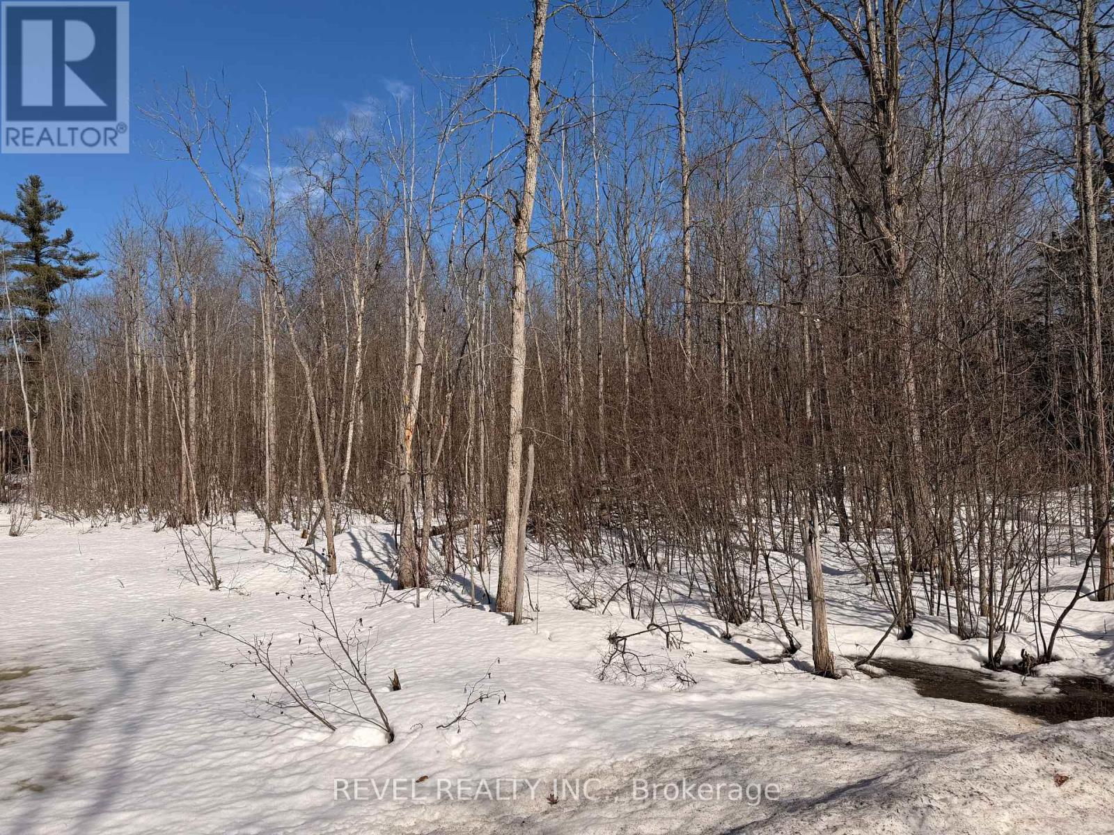 7815 Riverleigh Drive, Ramara, Ontario  L0K 2B0 - Photo 17 - S12884158