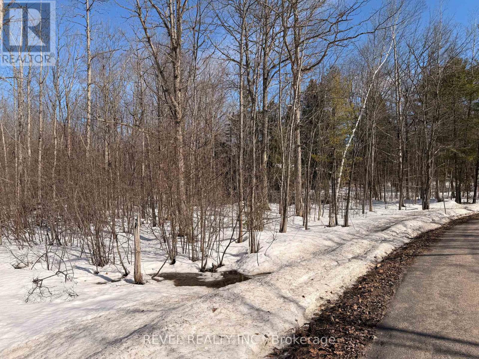 7815 Riverleigh Drive, Ramara, Ontario  L0K 2B0 - Photo 19 - S12884158