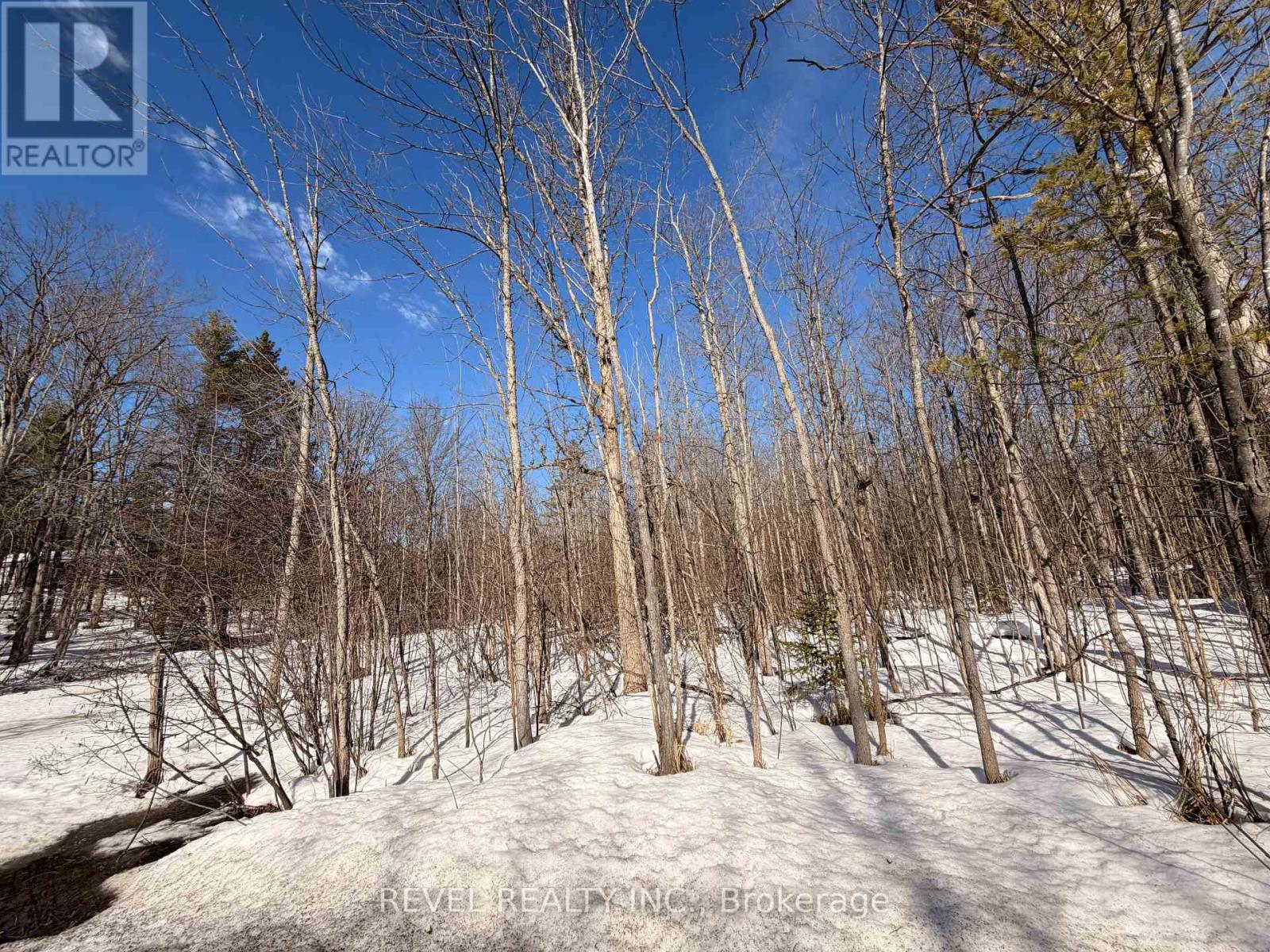 7815 Riverleigh Drive, Ramara, Ontario  L0K 2B0 - Photo 21 - S12884158