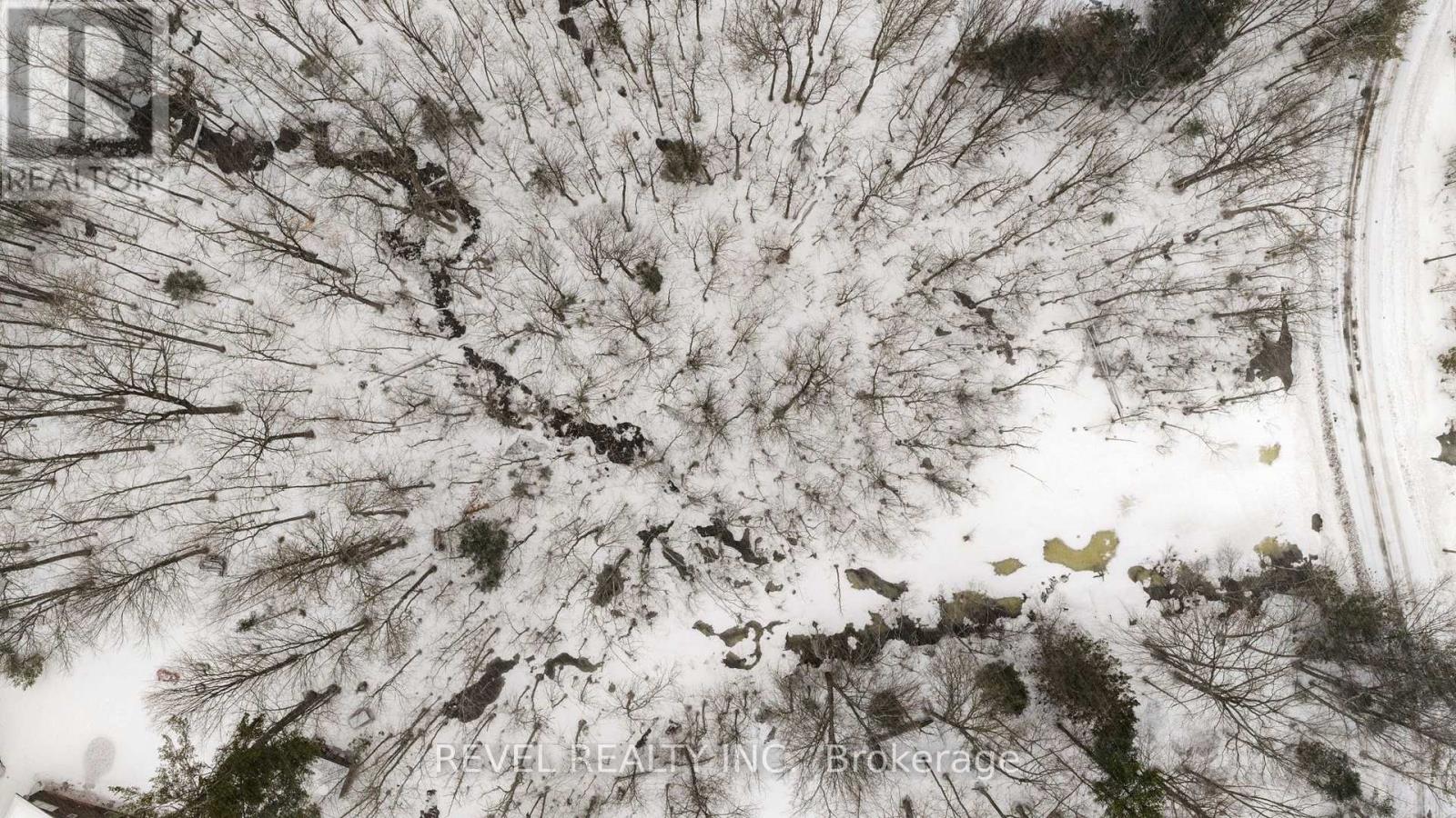 7815 Riverleigh Drive, Ramara, Ontario  L0K 2B0 - Photo 22 - S12884158