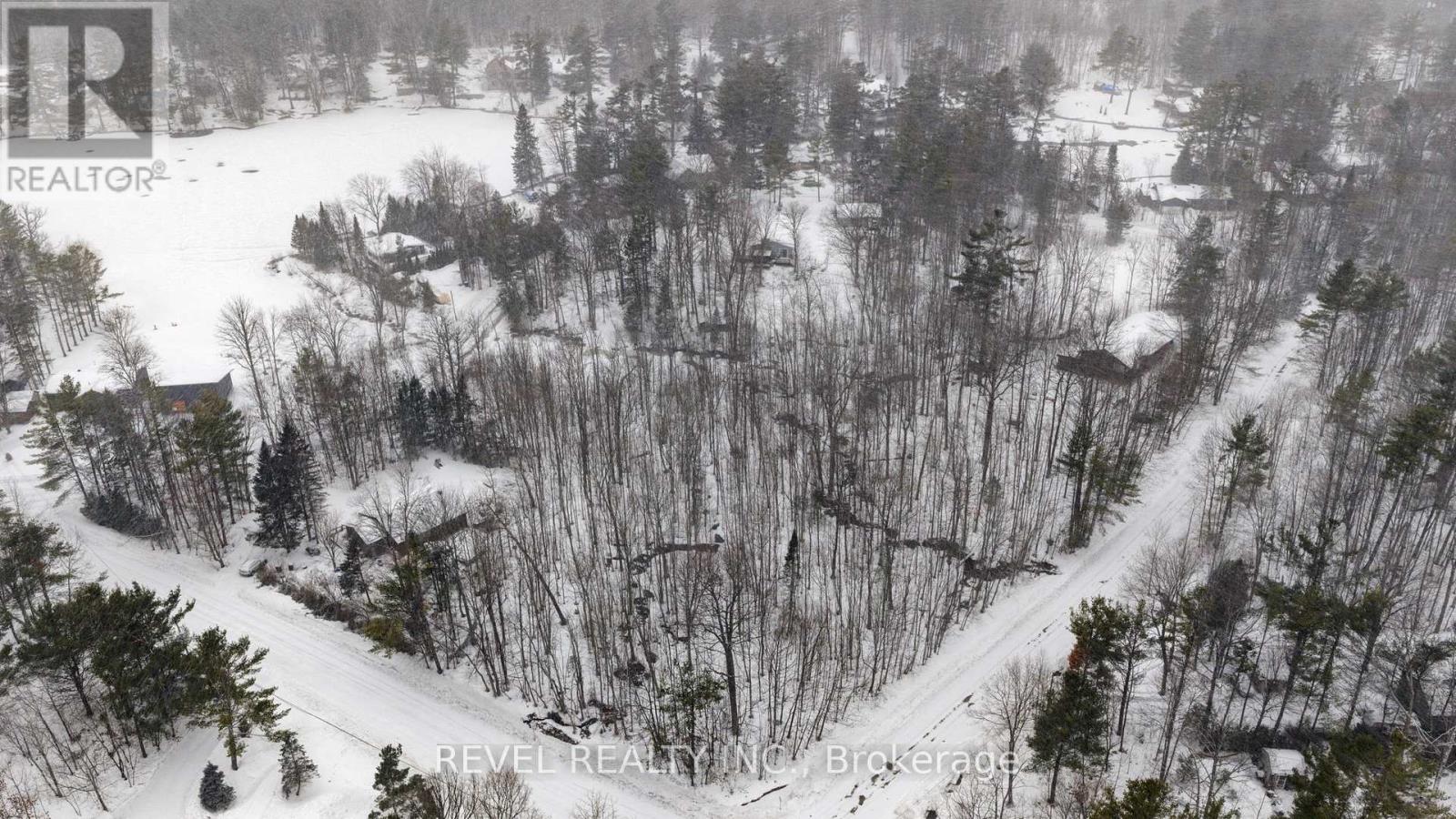 7815 Riverleigh Drive, Ramara, Ontario  L0K 2B0 - Photo 5 - S12884158