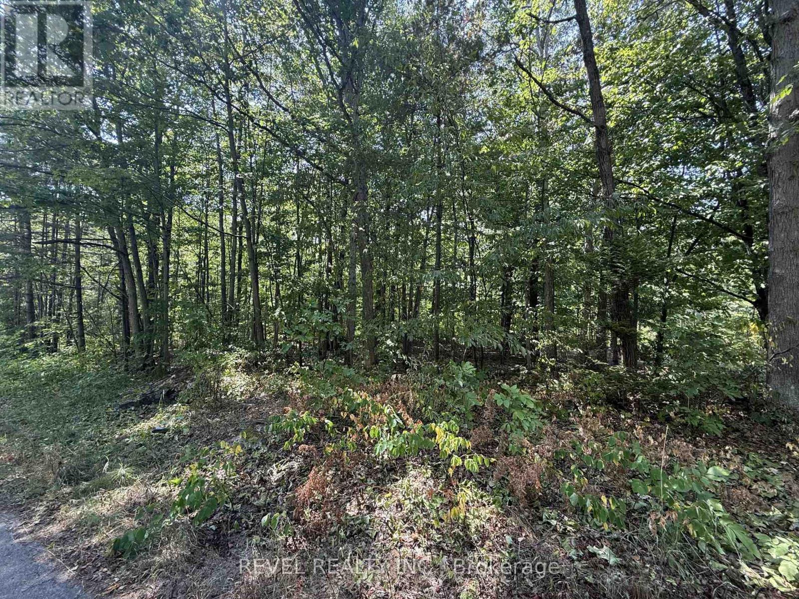 7815 Riverleigh Drive, Ramara, Ontario  L0K 2B0 - Photo 7 - S12884158