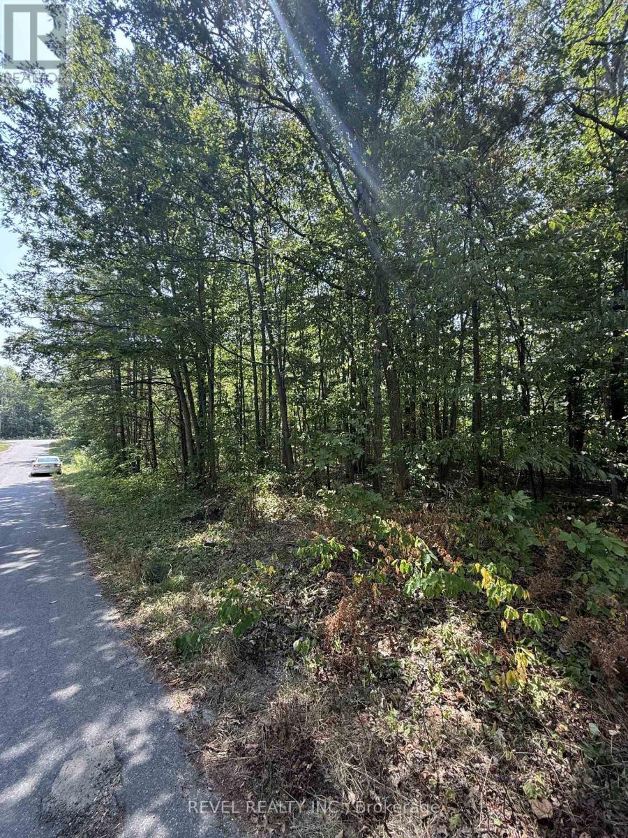 7815 Riverleigh Drive, Ramara, Ontario  L0K 2B0 - Photo 8 - S12884158