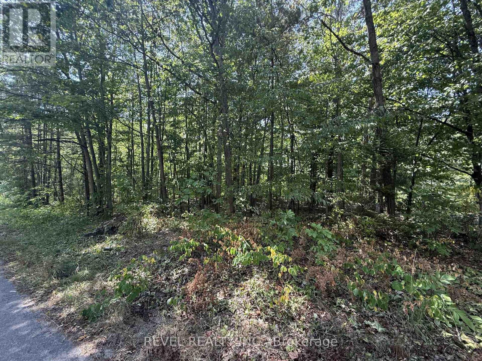 7815 Riverleigh Drive, Ramara, Ontario  L0K 2B0 - Photo 9 - S12884158