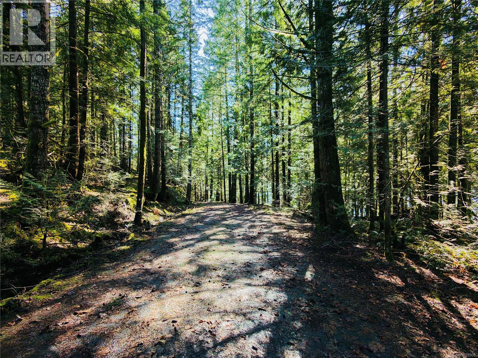 N/a Youbou Rd, Lake Cowichan, British Columbia  V0R 2G0 - Photo 1 - 1028908