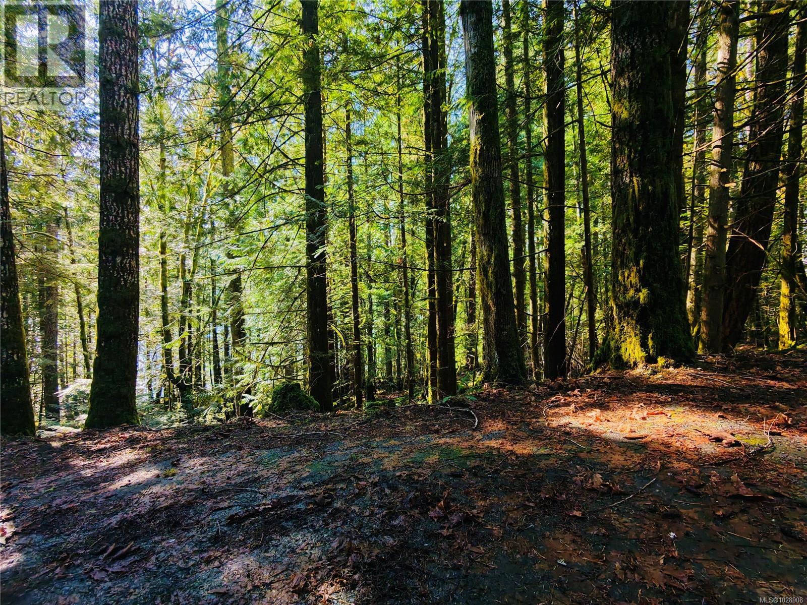 N/a Youbou Rd, Lake Cowichan, British Columbia  V0R 2G0 - Photo 2 - 1028908