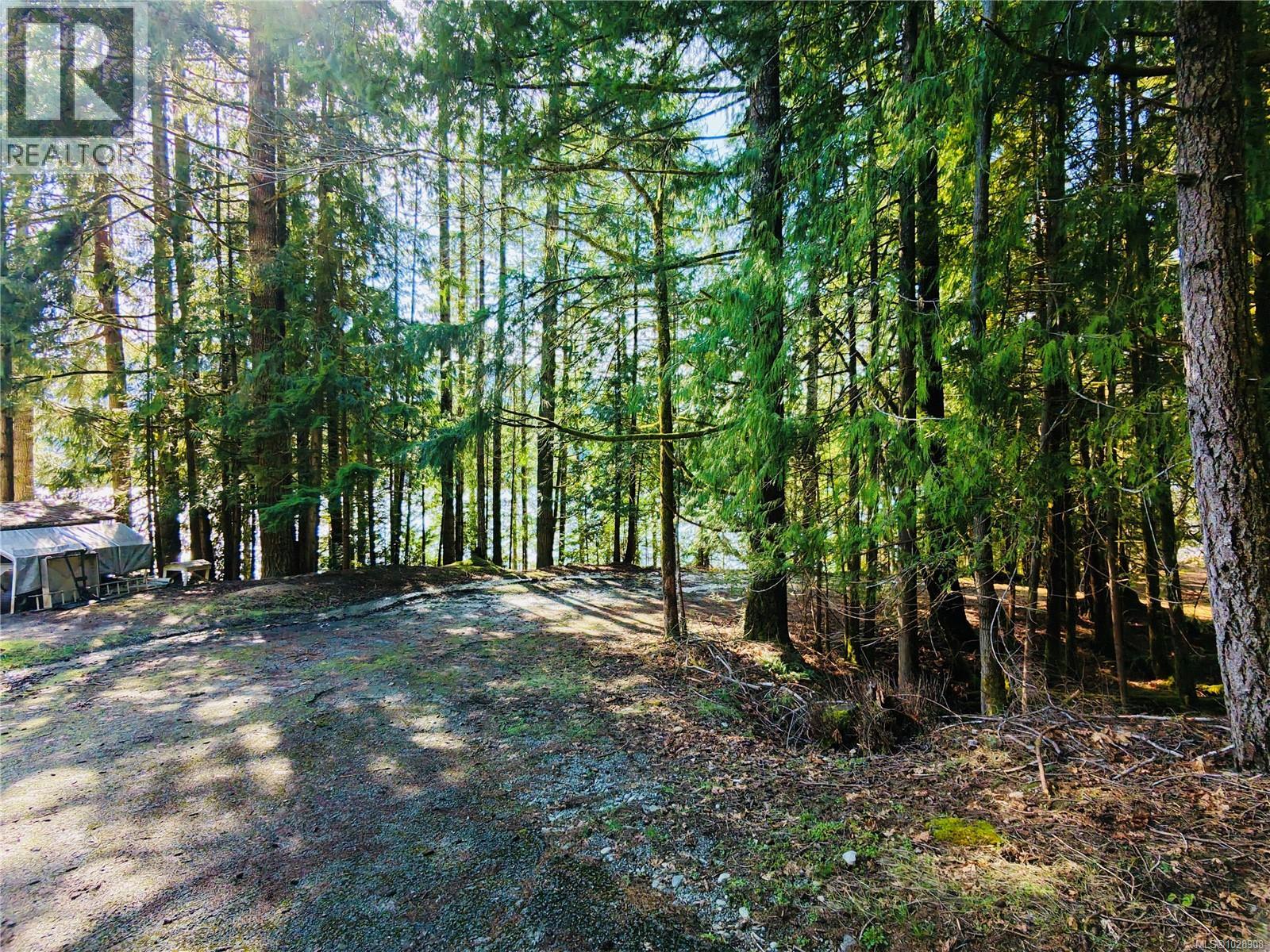 N/a Youbou Rd, Lake Cowichan, British Columbia  V0R 2G0 - Photo 3 - 1028908