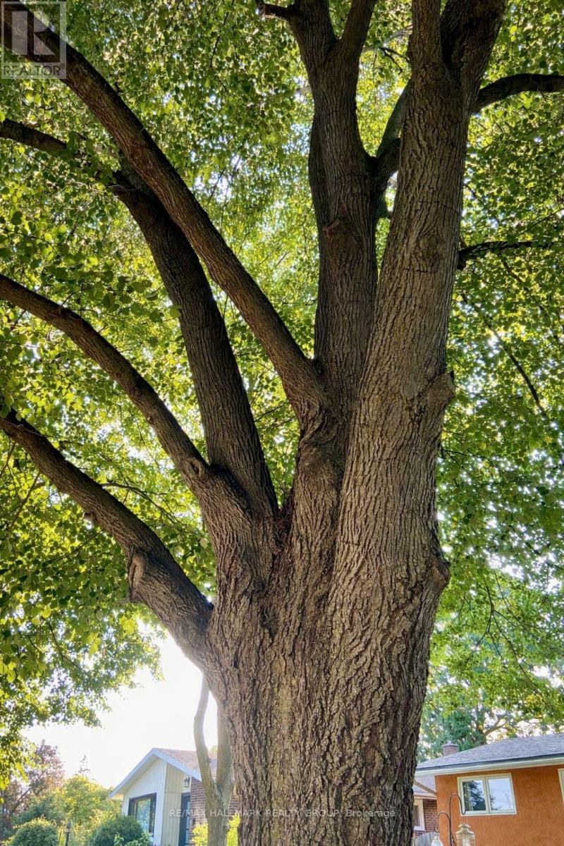 2401 Magnus Avenue, Ottawa, Ontario  K1G 1J7 - Photo 3 - X12884274