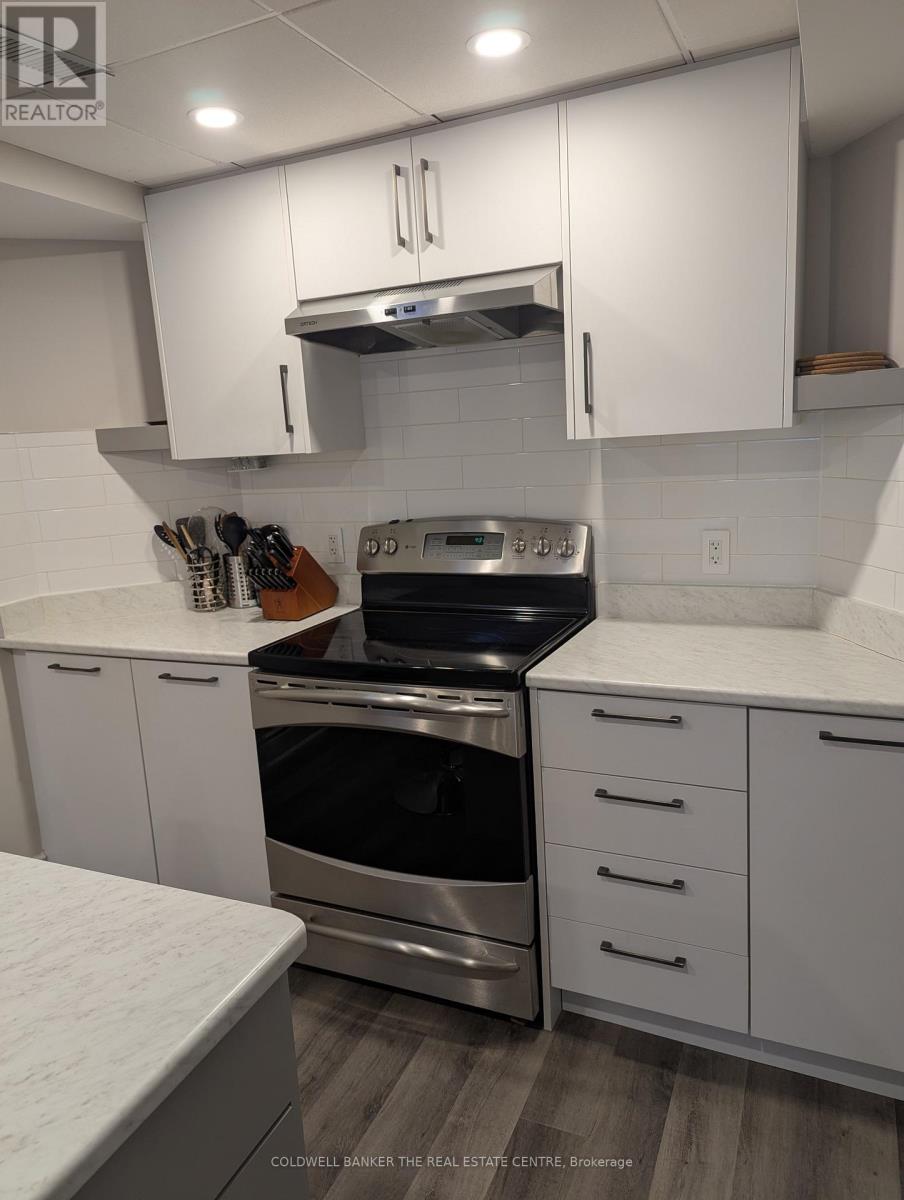 Bsmt - 89 Depeuter Crescent, Bradford West Gwillimbury, Ontario  L3Z 3A2 - Photo 9 - N12842282