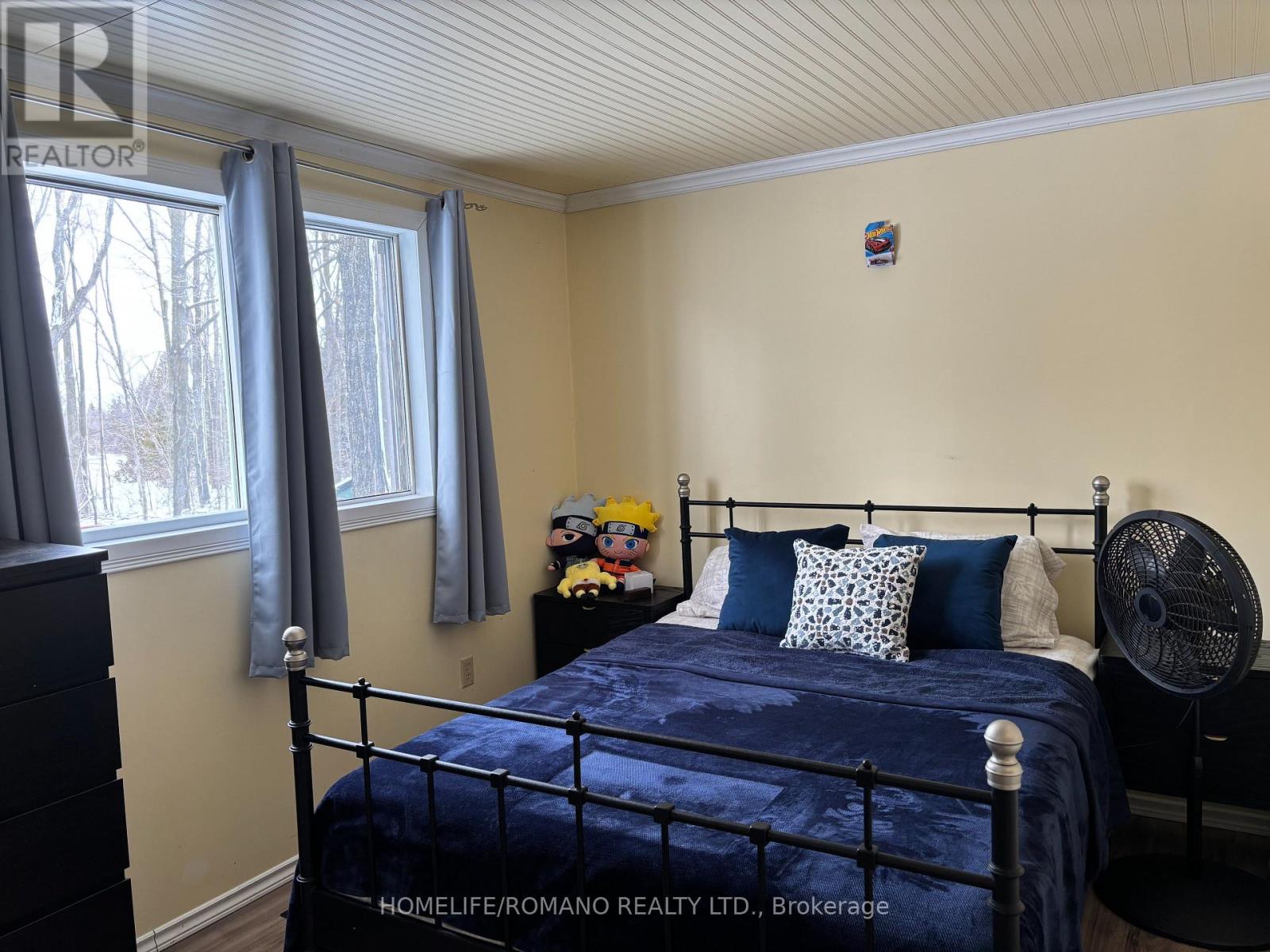 15 Pleasure Street, Kawartha Lakes, Ontario  K0M 1G0 - Photo 29 - X12884276