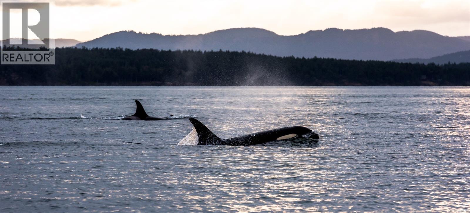 678 Mariner Dr, Campbell River, British Columbia  V9H 1V9 - Photo 8 - 1028922