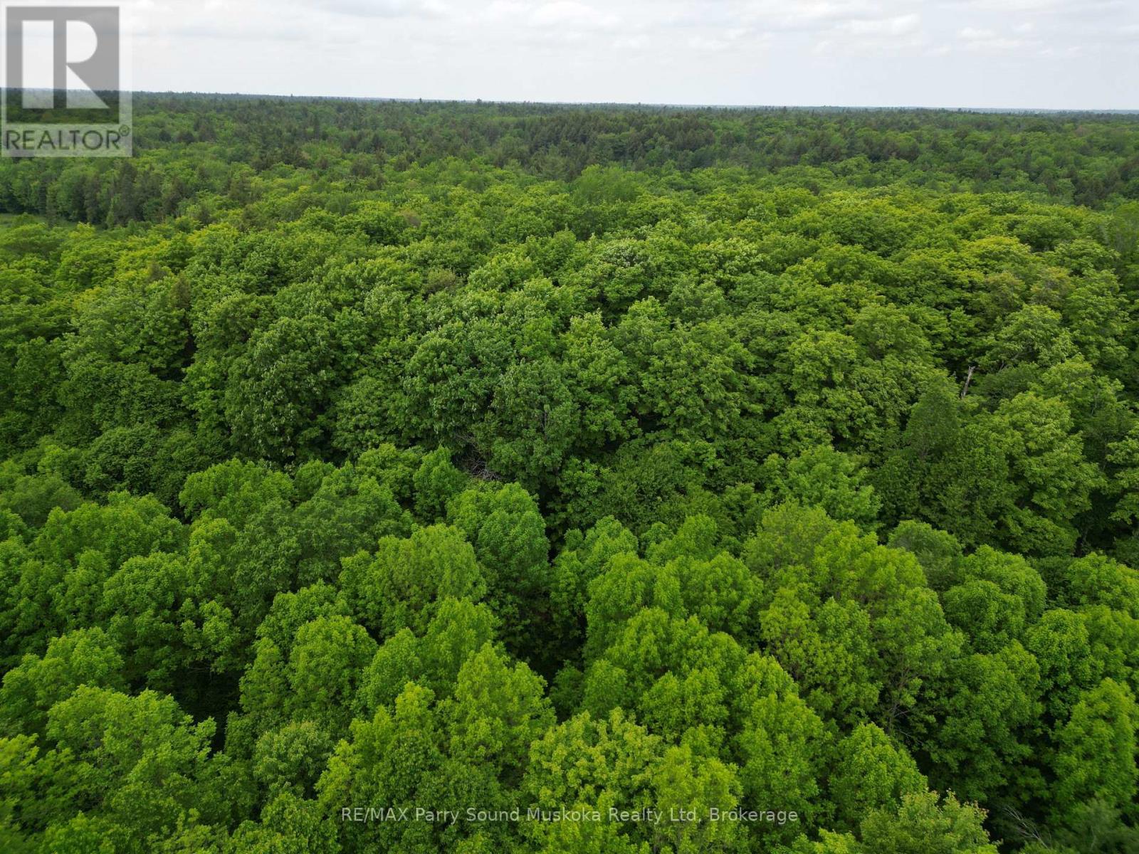 1990 North Road, Parry Sound Remote Area, Ontario  P0H 1S0 - Photo 6 - X12884310