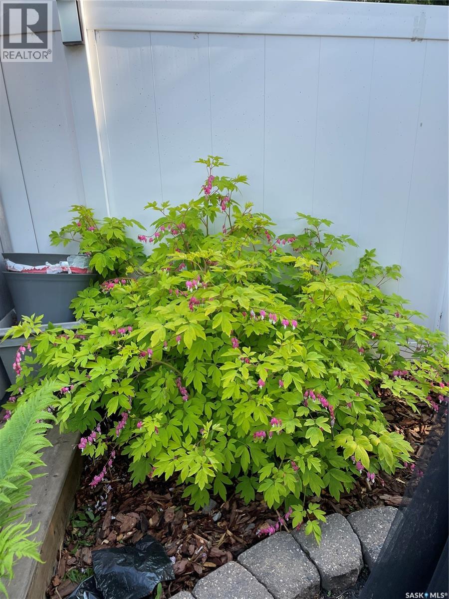 3103 St James Road, Regina, Saskatchewan  S4V 3B3 - Photo 44 - SK030345