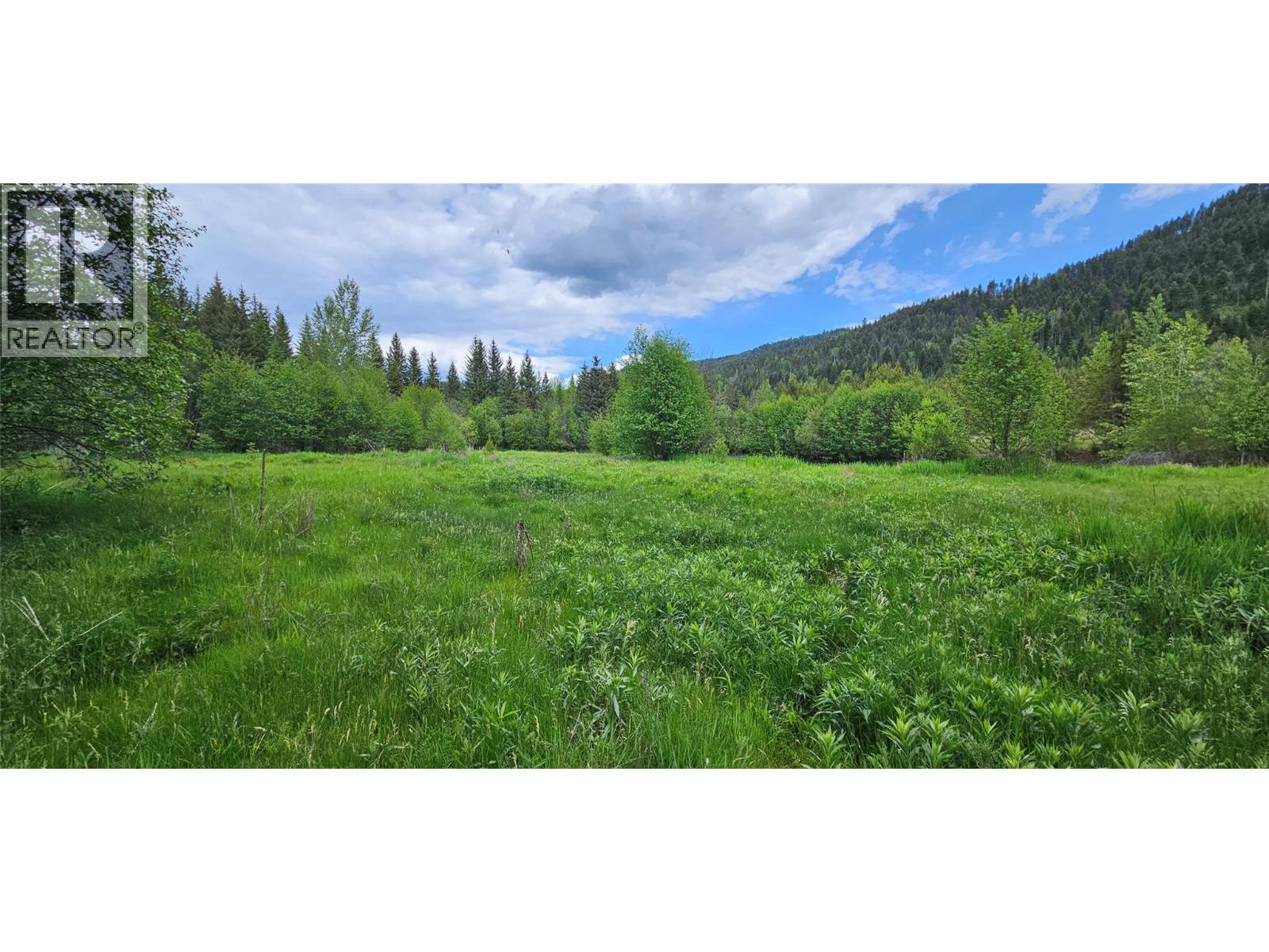 12165 Highway 3, Greenwood, British Columbia  V0H 1J0 - Photo 8 - 10376436