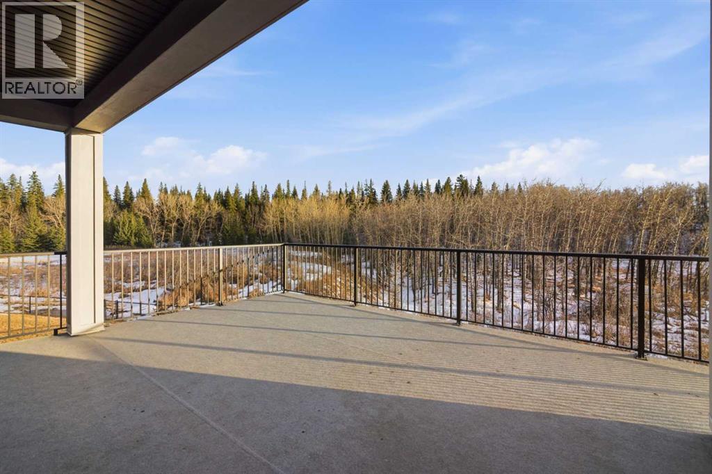 192 Creekstone Hill SW, Calgary, Alberta  T2X 5G5 - Photo 22 - A2288889