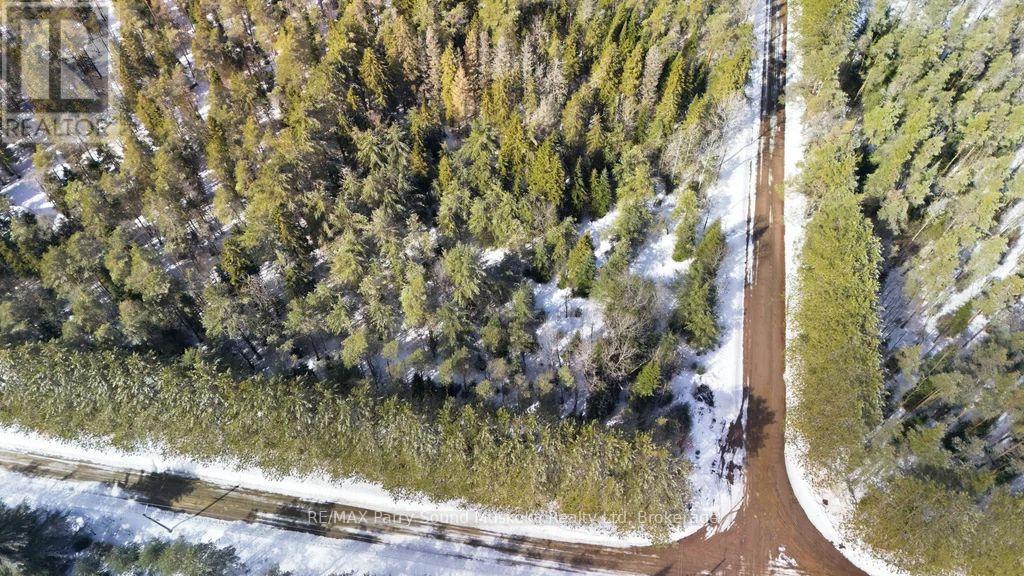 842 Fourth Avenue, Mcmurrich/monteith, Ontario  P0B 1M0 - Photo 11 - X12884482