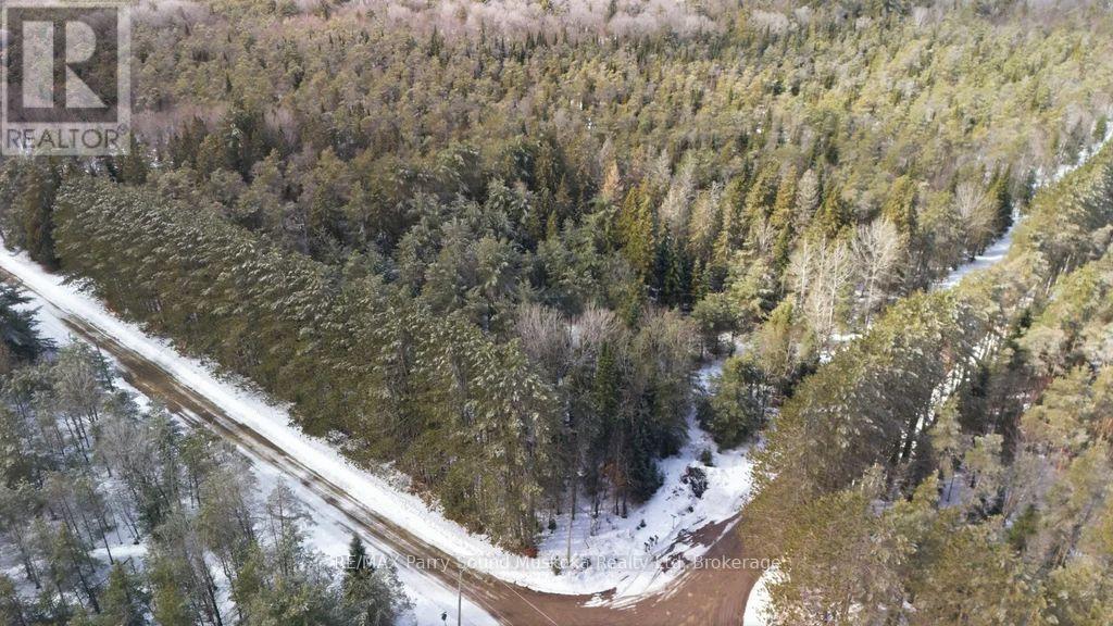 842 Fourth Avenue, Mcmurrich/monteith, Ontario  P0B 1M0 - Photo 6 - X12884482