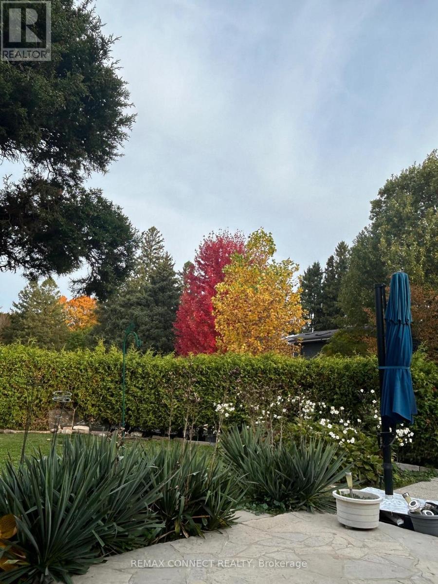 Photo 36 of 41 for 6 Ranson Place