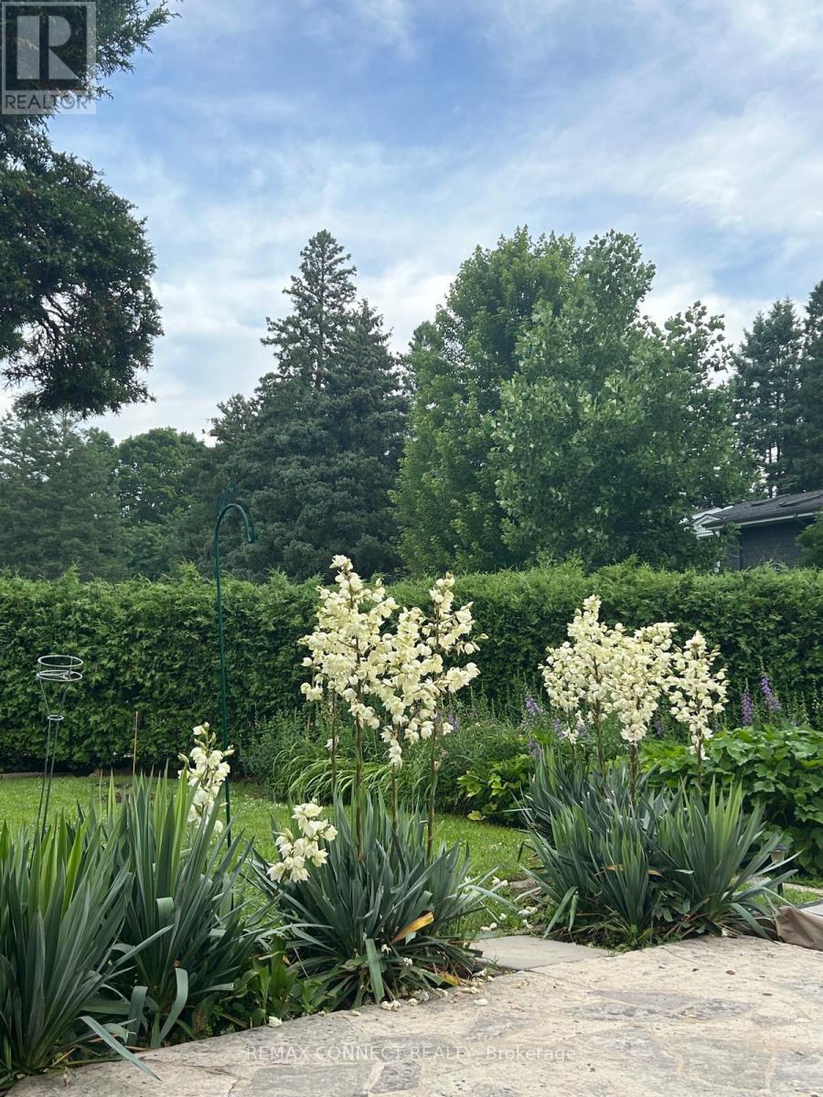 Photo 37 of 41 for 6 Ranson Place