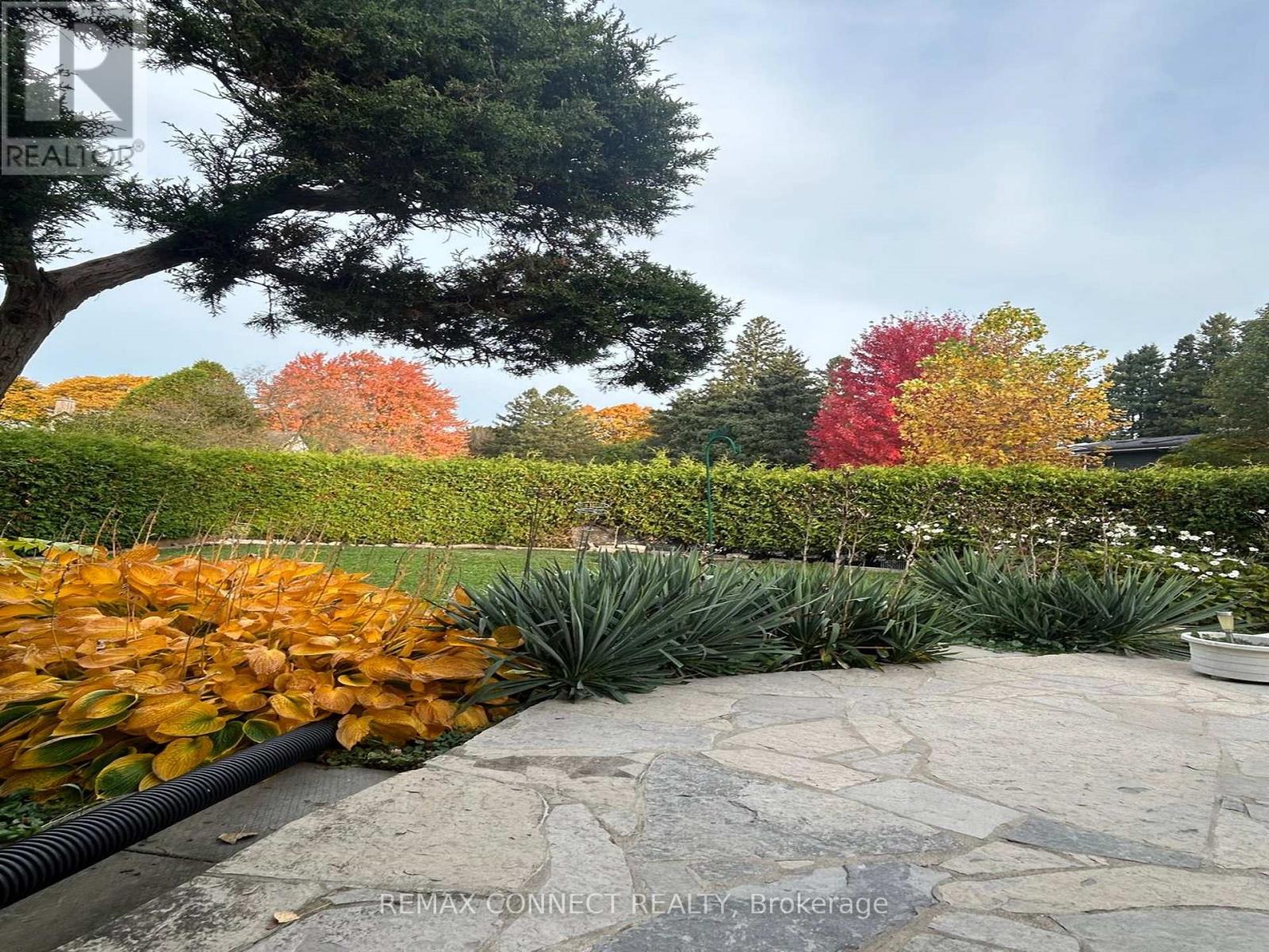 Photo 6 of 41 for 6 Ranson Place