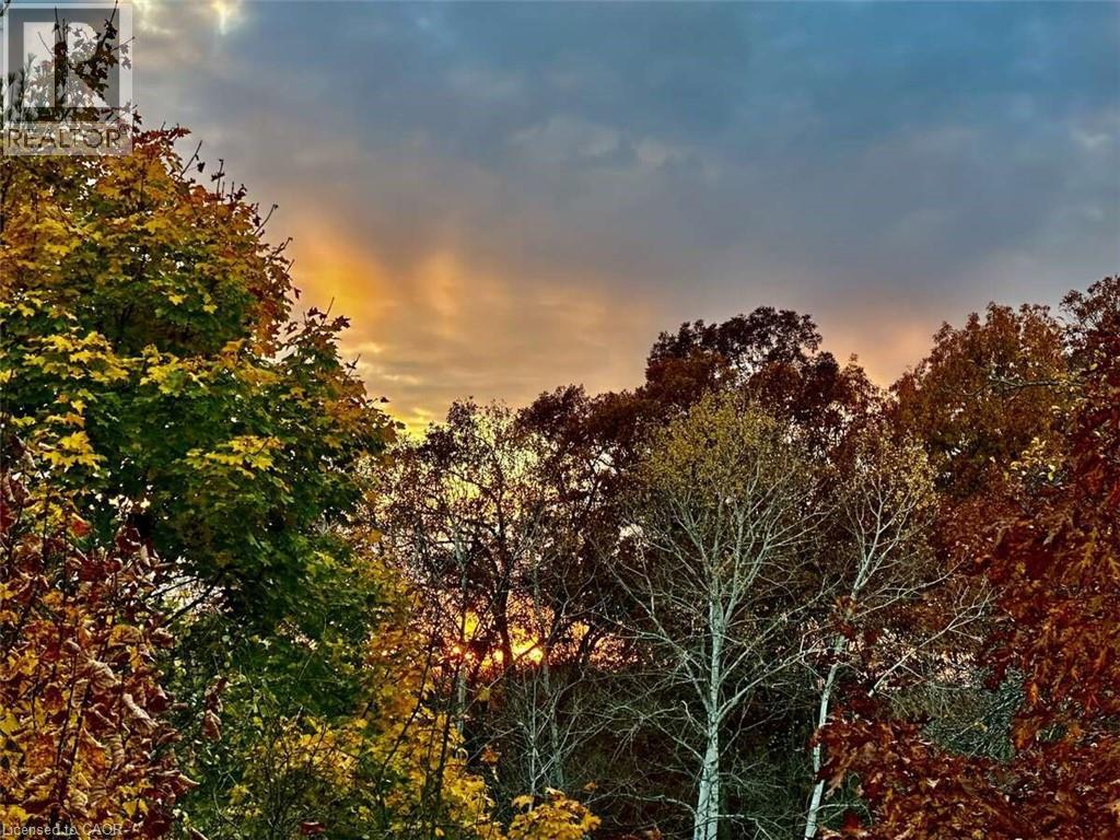 Photo 28 of 28 for 600 Hyde Park Road Unit# 267