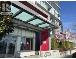 318 10788 NO. 5 ROAD, Richmond, British Columbia