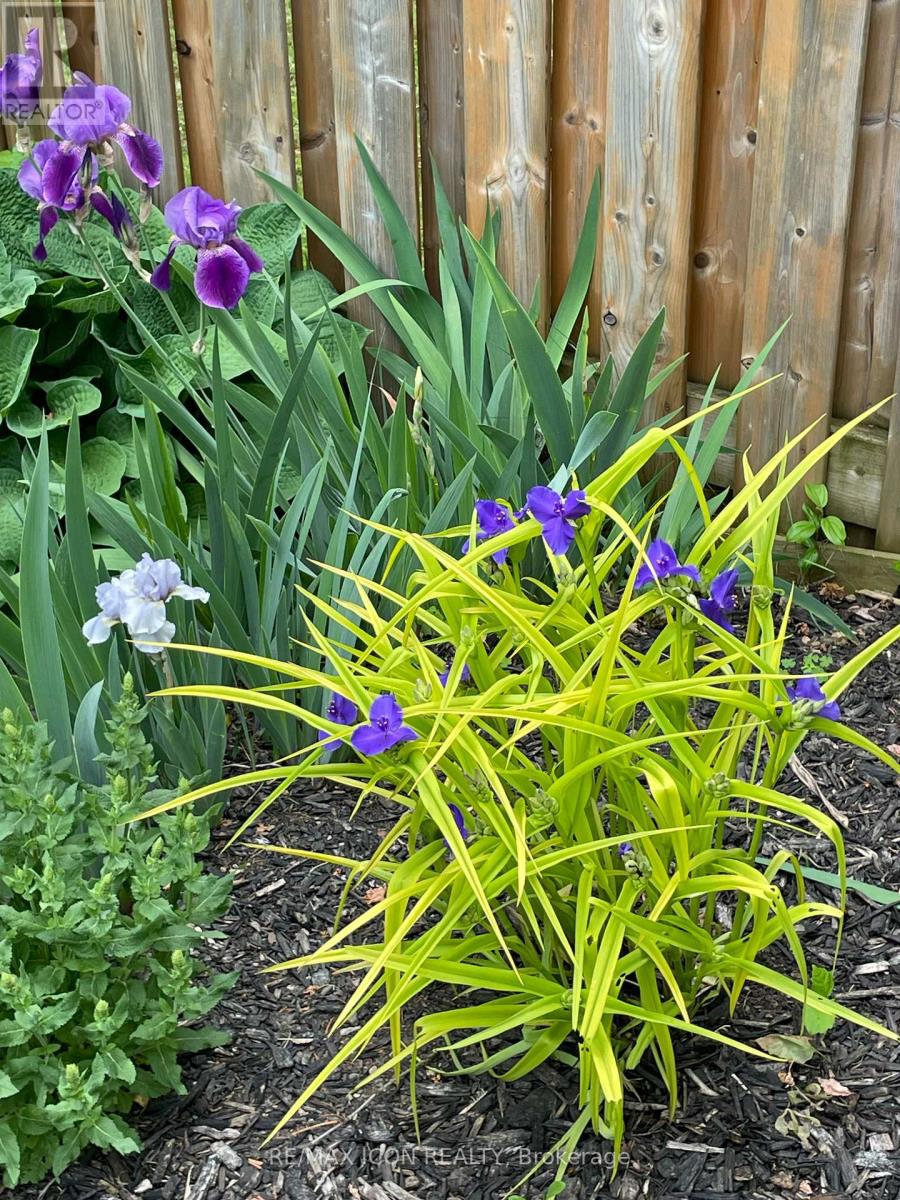 33 Joseph Street, Guelph, Ontario  N1E 2W4 - Photo 42 - X12867120