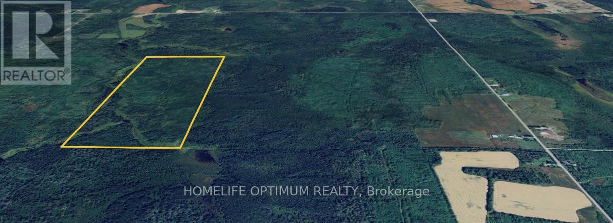 150 Acres In Clute Township, Cochrane, Ontario P0L 1C0 - Photo 7 - T12884606