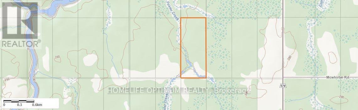 150 Acres In Clute Township, Cochrane, Ontario  P0L 1C0 - Photo 3 - T12884608