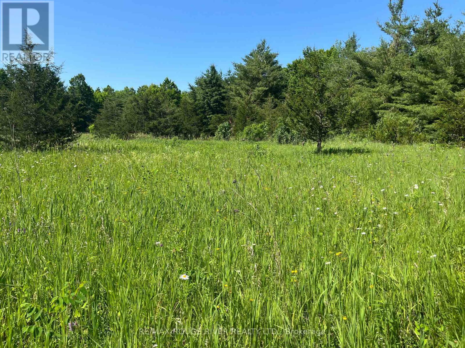 2421 14th Line East Acres E, Trent Hills, Ontario  K0L 1L0 - Photo 12 - X12884672