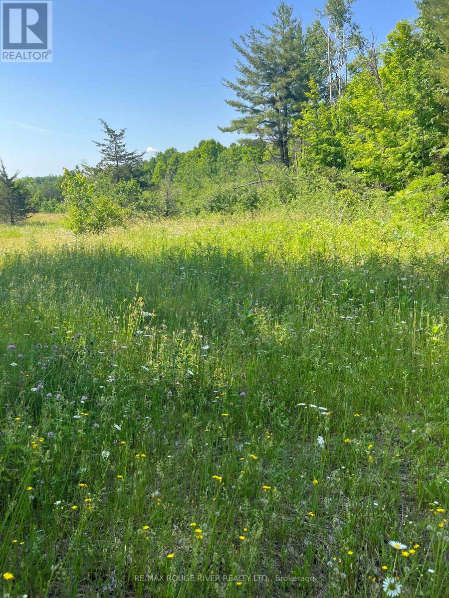 2421 14th Line East Acres E, Trent Hills, Ontario  K0L 1L0 - Photo 9 - X12884672