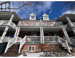 LOWER - 38 NORWOOD TERRACE, Toronto, Ontario