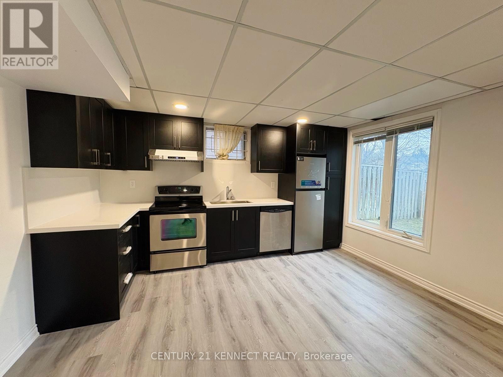 Basement - 33 Somerset Crescent, Richmond Hill, Ontario  L4C 8N5 - Photo 2 - N12884846