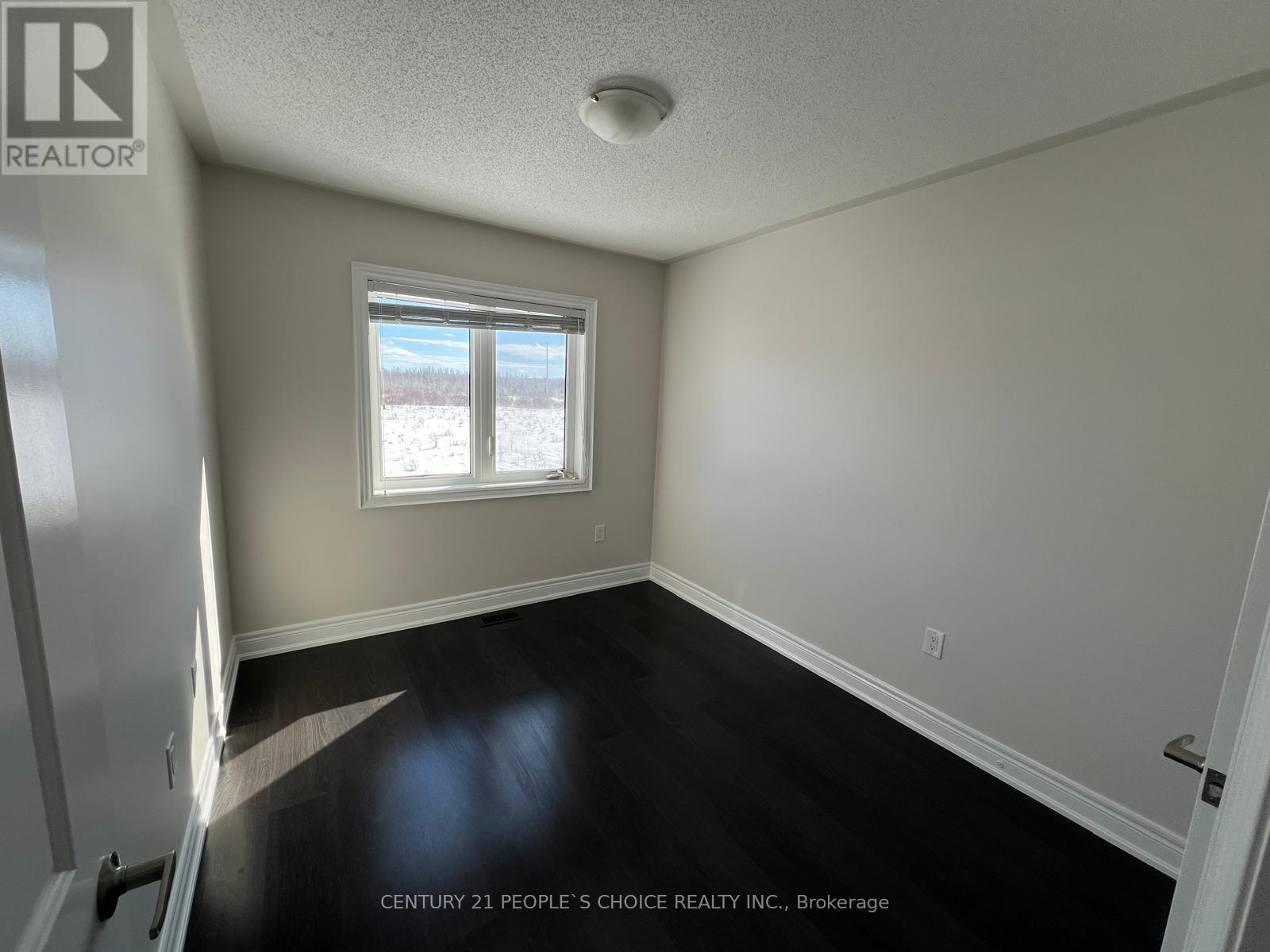 305 Atkinson Street, Clearview, Ontario  L0M 1S0 - Photo 17 - S12762466