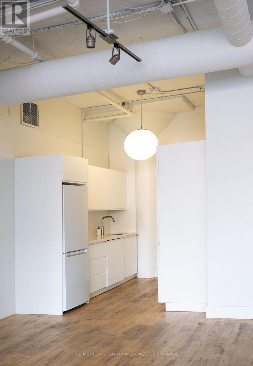 203 - 626 King Street W, Toronto, Ontario  M5V 1M5 - Photo 4 - C12884856