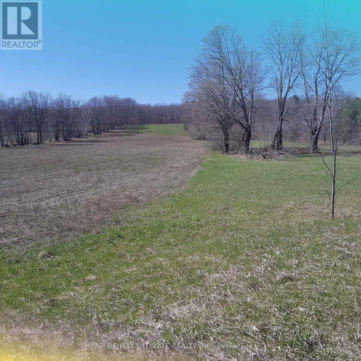 1024 Old Barrie Road, Oro-Medonte, Ontario L0L 2L0 - Photo 2 - S12884932