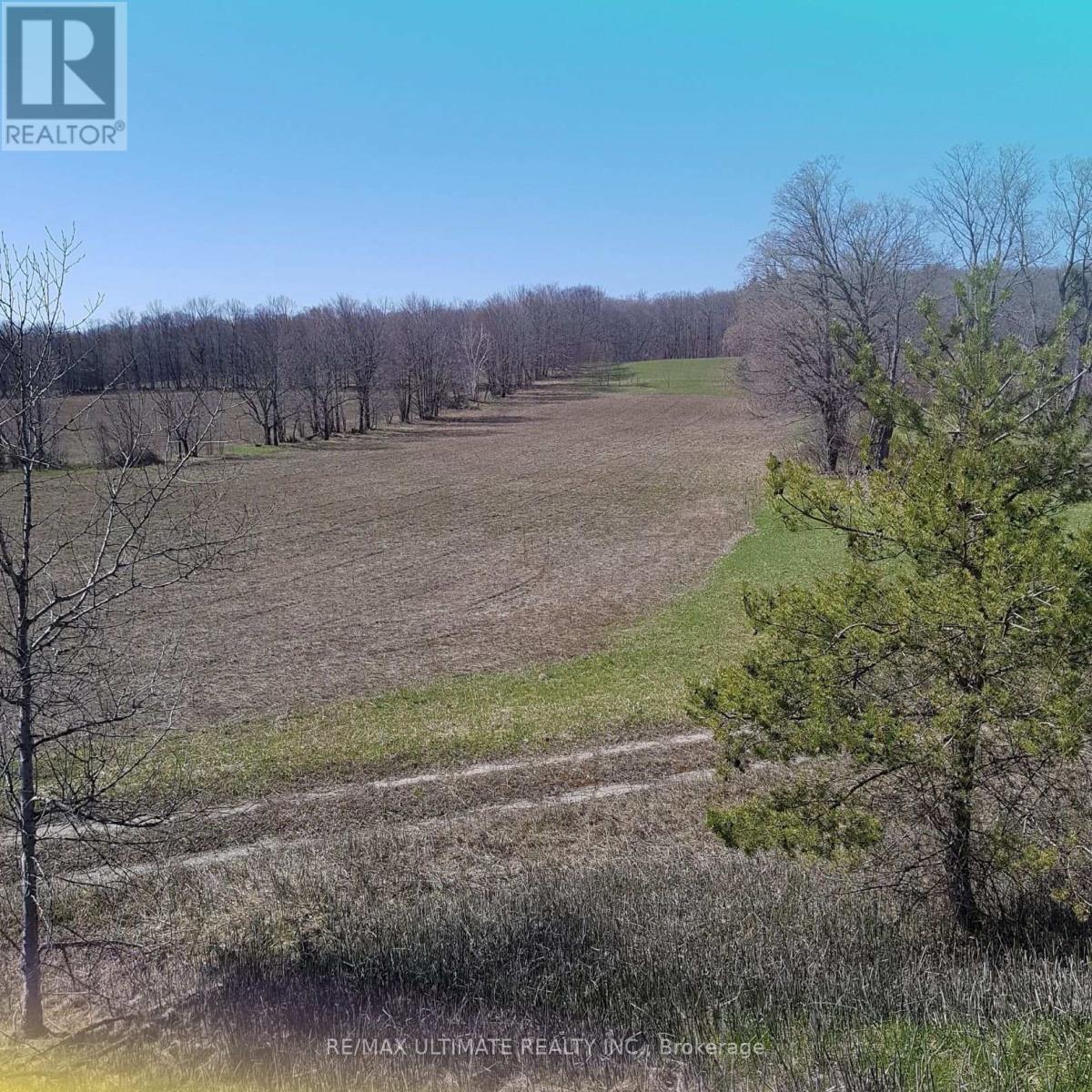 1024 Old Barrie Road, Oro-Medonte, Ontario L0L 2L0 - Photo 3 - S12884932