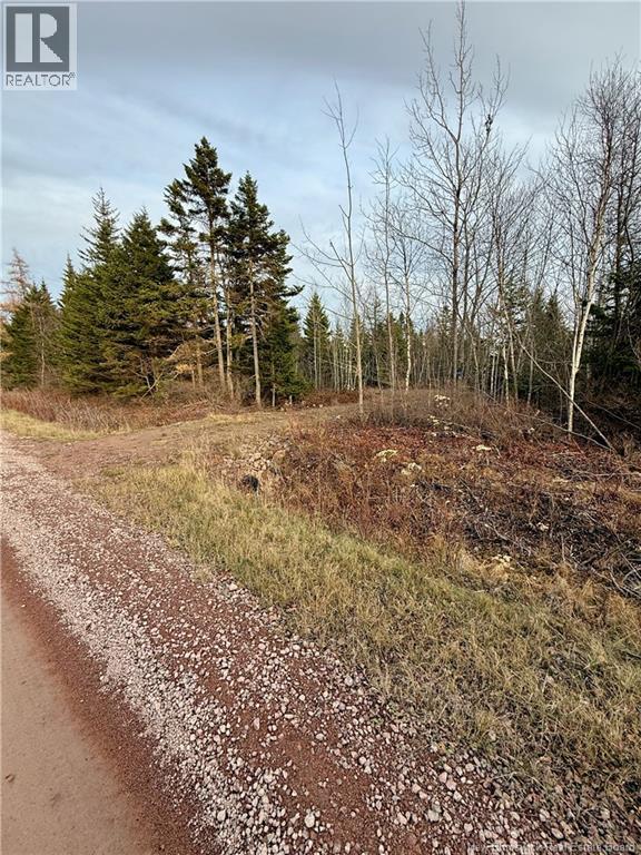 1192 Rte 935, Rockport, New Brunswick  E4K 3N1 - Photo 6 - NB130473