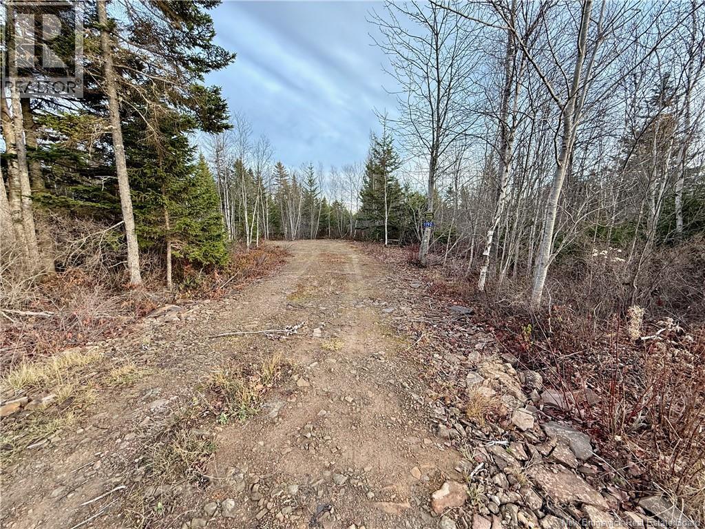 1192 Rte 935, Rockport, New Brunswick  E4K 3N1 - Photo 11 - NB130473