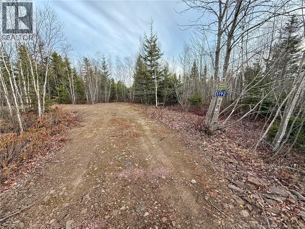 1192 Rte 935, Rockport, New Brunswick  E4K 3N1 - Photo 13 - NB130473